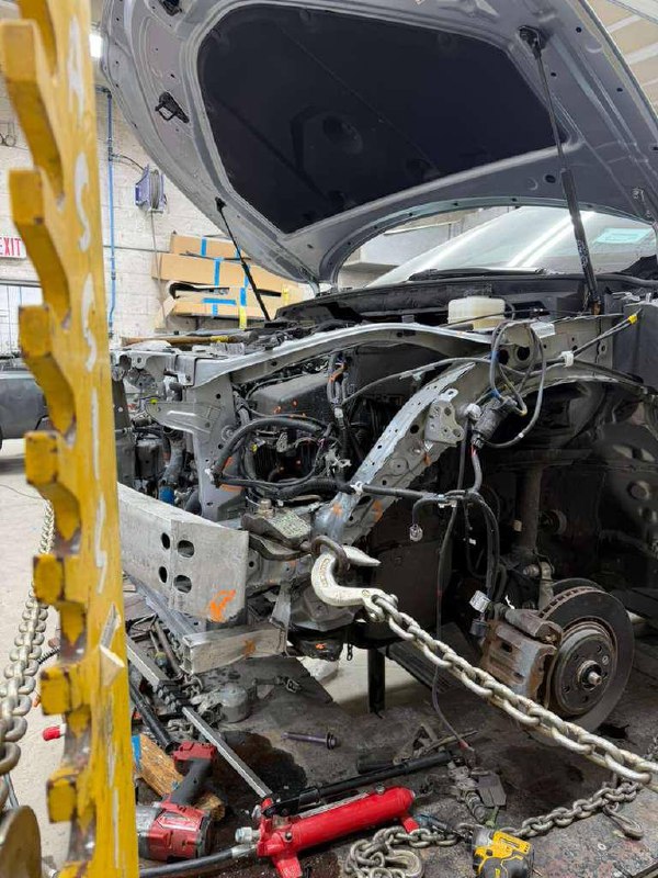 Exotic gallery image 3