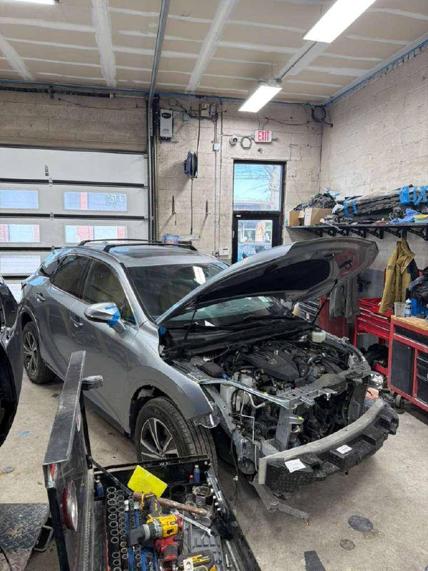 Exotic gallery image 4