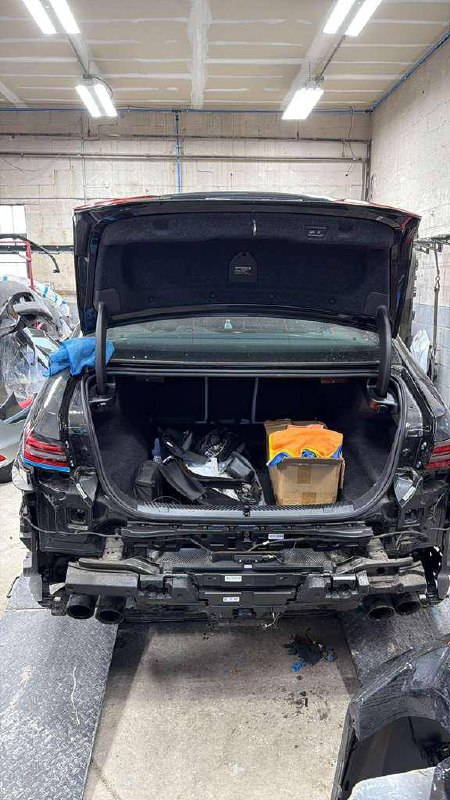 Exotic gallery image 6