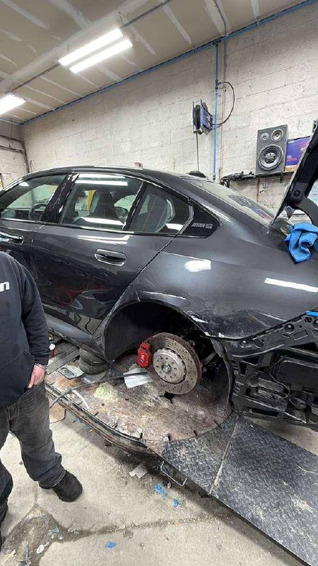 Exotic gallery image 7