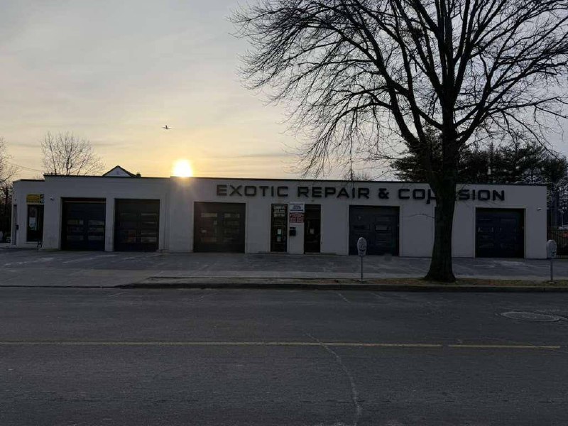 Exotic gallery image 8