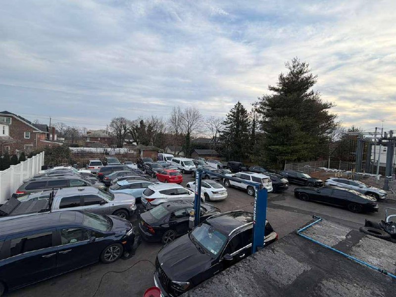 Exotic gallery image 9